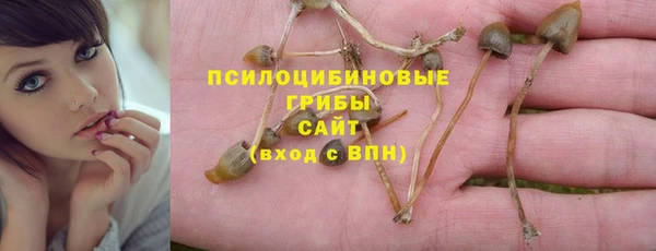 прущий лед Медвежьегорск