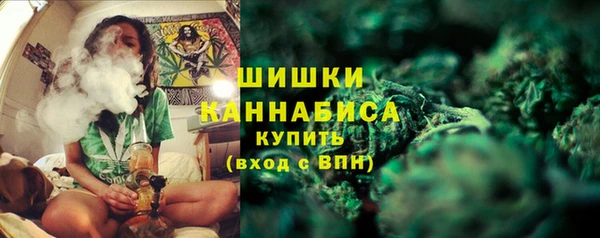 молекула духа Белая Холуница