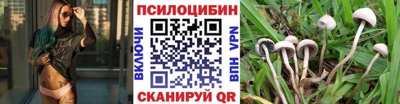 наркотики  Поронайск  Галлюциногенные грибы Magic Shrooms 